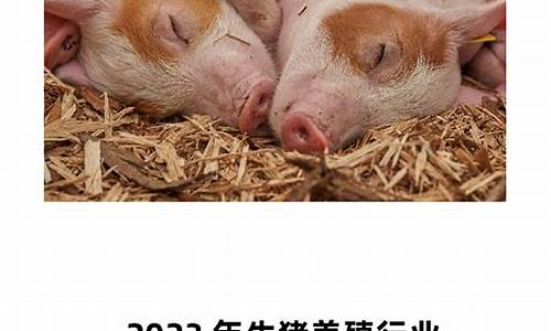 华尔街2024生猪直播间喊单