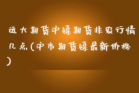 远大期货沪镍期货非农行情几点(沪市期货镍最新价格)