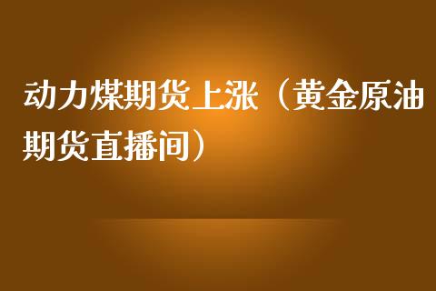 动力煤期货上涨（黄金原油期货直播间）