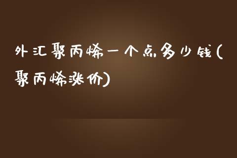 外汇聚丙烯一个点多少钱(聚丙烯涨价)