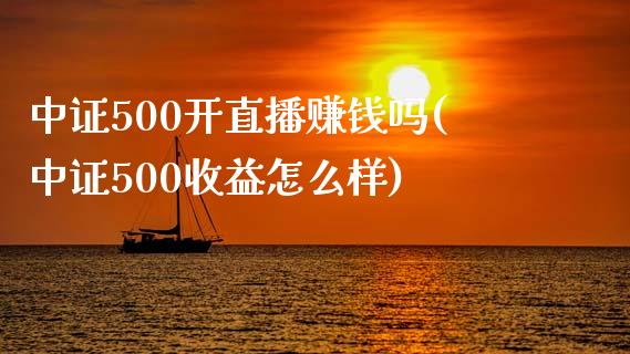 中证500开直播赚钱吗(中证500收益怎么样)