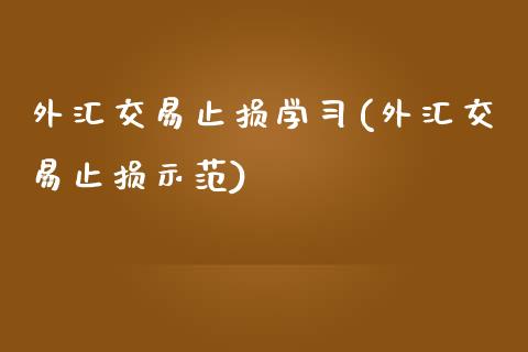 外汇交易止损学习(外汇交易止损示范)