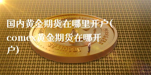 国内黄金期货在哪里开户(comex黄金期货在哪开户)