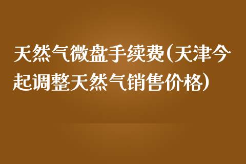 天然气微盘手续费(天津今起调整天然气销售价格)