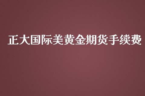 正大国际美黄金期货手续费