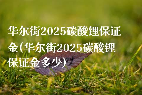 华尔街2025碳酸锂保证金(华尔街2025碳酸锂保证金多少)