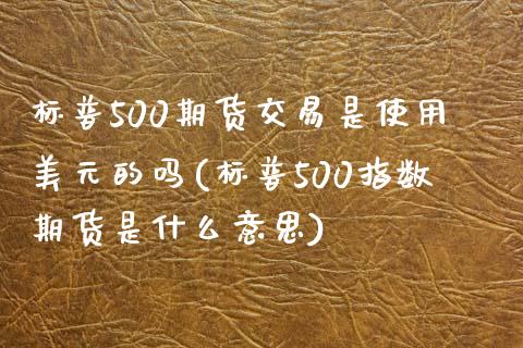 标普500期货交易是使用美元的吗(标普500指数期货是什么意思)