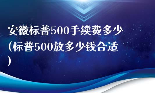 安徽标普500手续费多少(标普500放多少钱合适)