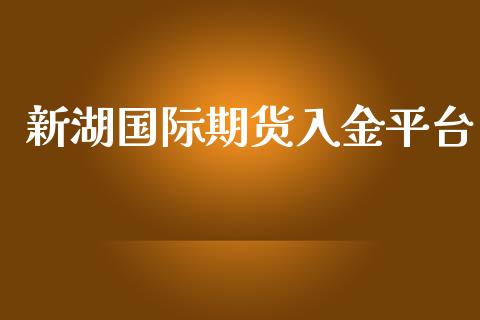 新湖国际期货入金平台