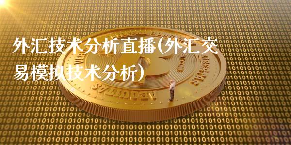 外汇技术分析直播(外汇交易模拟技术分析)