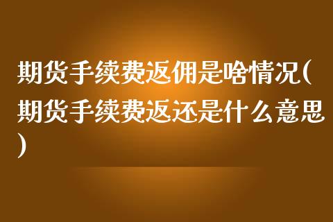 期货手续费返佣是啥情况(期货手续费返还是什么意思)