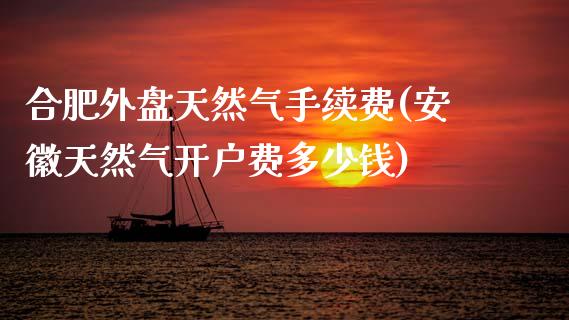 合肥外盘天然气手续费(安徽天然气开户费多少钱)