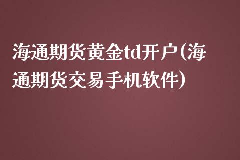 海通期货黄金td开户(海通期货交易手机软件)