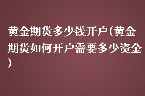 黄金期货多少钱开户(黄金期货如何开户需要多少资金)