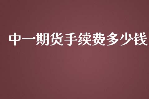 中一期货手续费多少钱