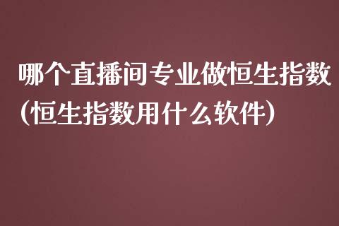 哪个直播间专业做恒生指数(恒生指数用什么软件)