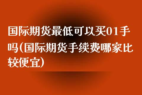 国际期货最低可以买01手吗(国际期货手续费哪家比较便宜)