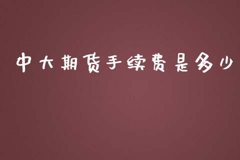 中大期货手续费是多少