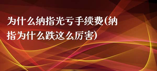 为什么纳指光亏手续费(纳指为什么跌这么厉害)