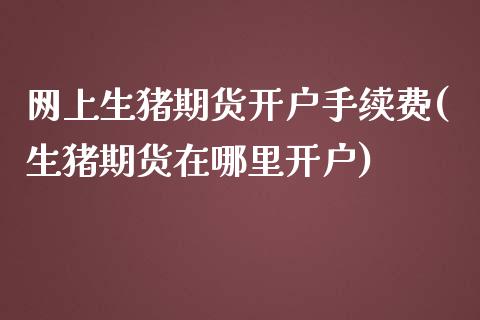 网上生猪期货开户手续费(生猪期货在哪里开户)