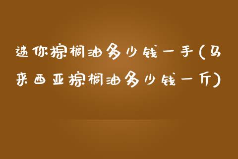 迷你棕榈油多少钱一手(马来西亚棕榈油多少钱一斤)