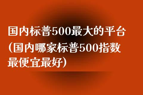 国内标普500最大的平台(国内哪家标普500指数最便宜最好)