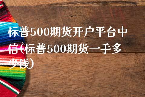 标普500期货开户平台中信(标普500期货一手多少钱)