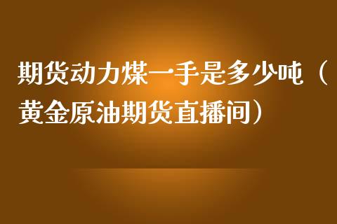 期货动力煤一手是多少吨（黄金原油期货直播间）