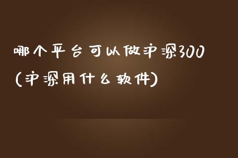 哪个平台可以做沪深300(沪深用什么软件)