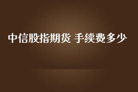 中信股指期货 手续费多少