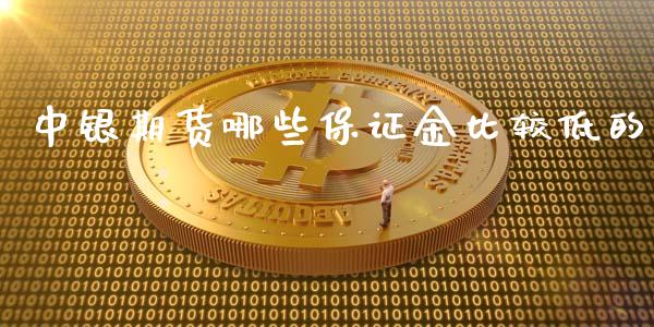 中银期货哪些保证金比较低的