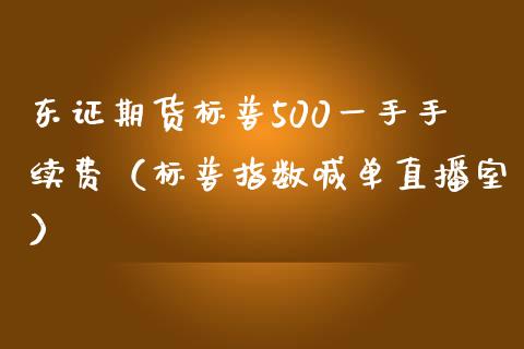 东证期货标普500一手手续费（标普指数喊单直播室）