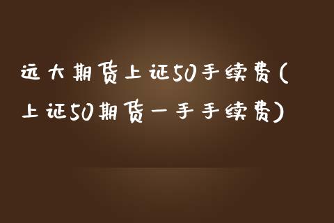 远大期货上证50手续费(上证50期货一手手续费)