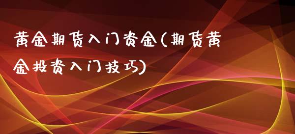 黄金期货入门资金(期货黄金投资入门技巧)