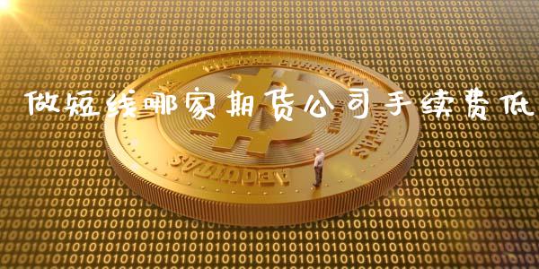 做短线哪家期货公司手续费低