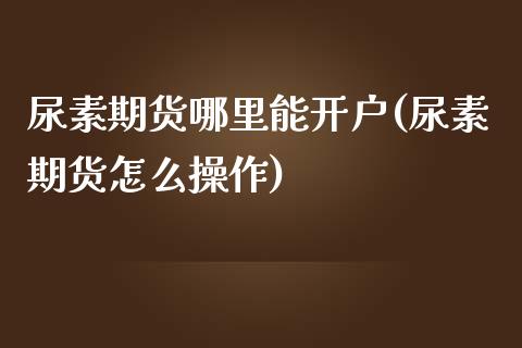 尿素期货哪里能开户(尿素期货怎么操作)