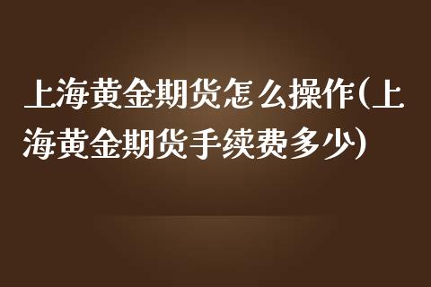 上海黄金期货怎么操作(上海黄金期货手续费多少)