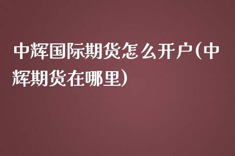 中辉国际期货怎么开户(中辉期货在哪里)