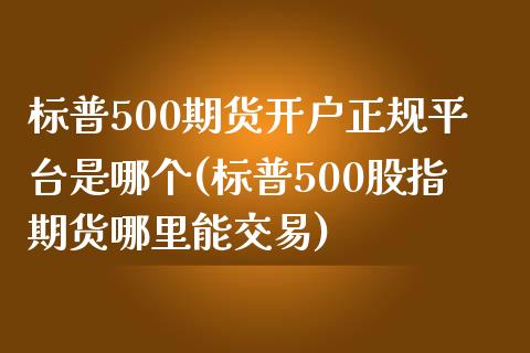 标普500期货开户正规平台是哪个(标普500股指期货哪里能交易)