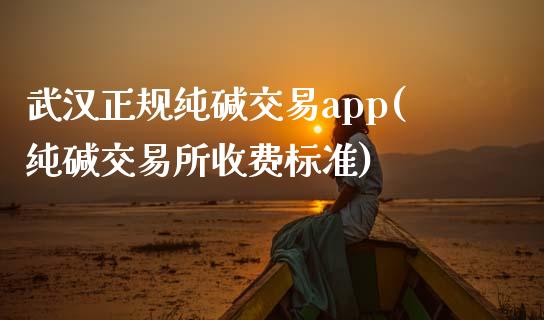 武汉正规纯碱交易app(纯碱交易所收费标准)