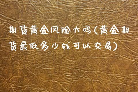 期货黄金风险大吗(黄金期货最低多少钱可以交易)