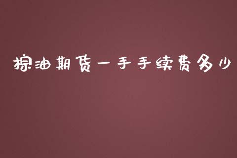 棕油期货一手手续费多少