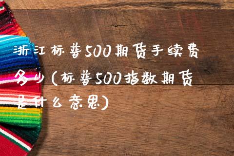 浙江标普500期货手续费多少(标普500指数期货是什么意思)