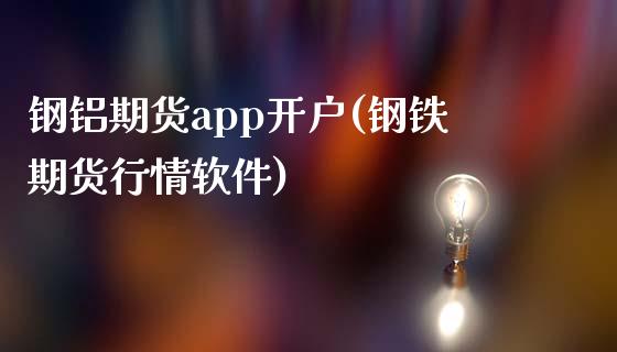 钢铝期货app开户(钢铁期货行情软件)