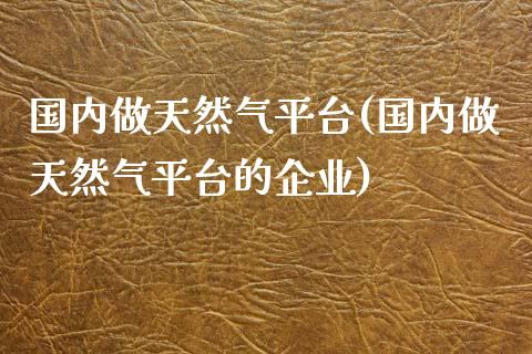 国内做天然气平台(国内做天然气平台的企业)