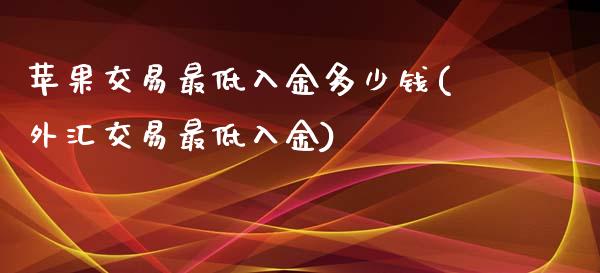 苹果交易最低入金多少钱(外汇交易最低入金)