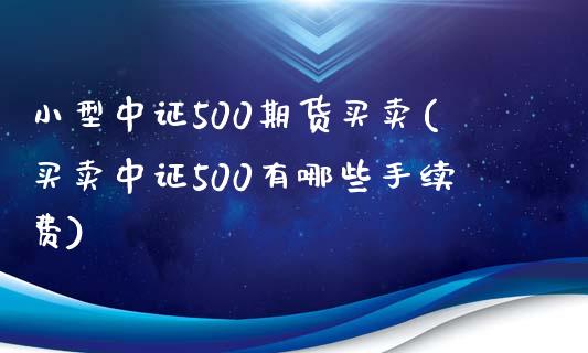 小型中证500期货买卖(买卖中证500有哪些手续费)