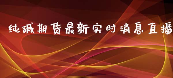 纯碱期货最新实时消息直播