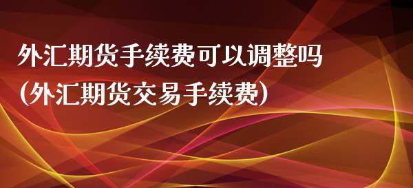 外汇期货手续费可以调整吗(外汇期货交易手续费)