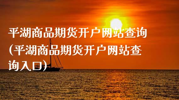 平湖商品期货开户网站查询(平湖商品期货开户网站查询入口)